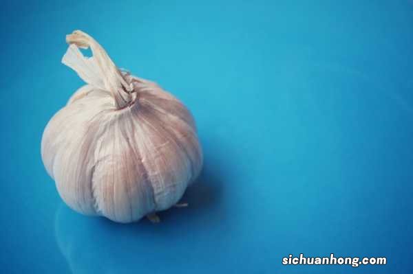 在家怎么种蒜黄,家里怎么种蒜黄长得快