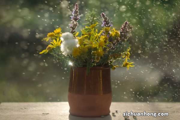 螺旋花束打法与包装