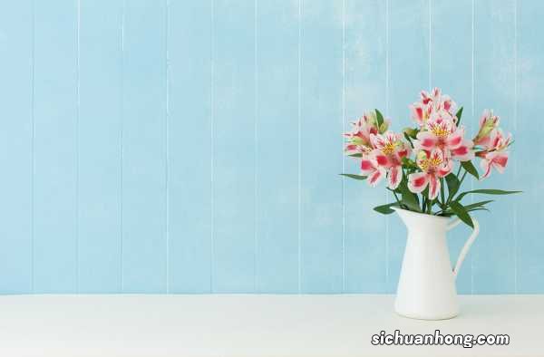 螺旋花束打法与包装