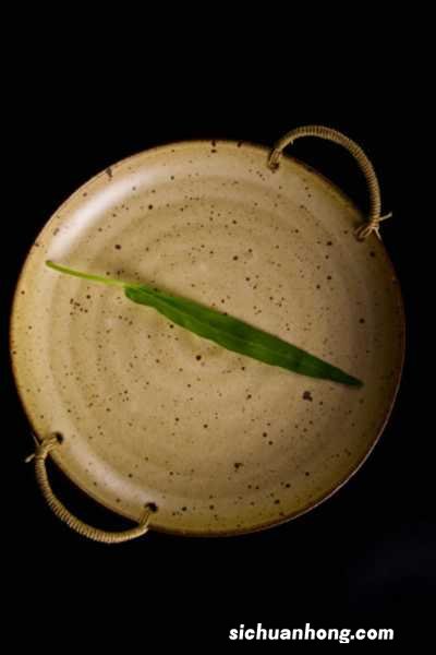 空心菜种植时间和方法