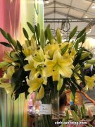 百合花放在卧室好吗