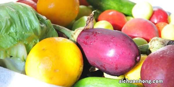 春天，路边的美味野菜，第一弹