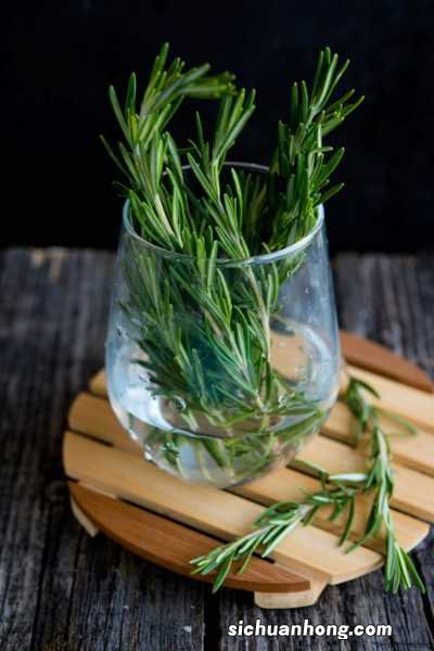 迷迭香可以放卧室吗,会很香吗