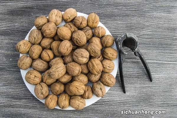 松果核桃埋土里，1个月长成盆景，越看越漂亮！