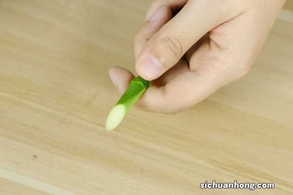 富贵竹夏天如何换水