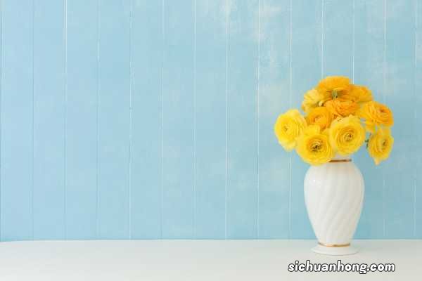 婚礼花卉礼仪之新房鲜花装饰