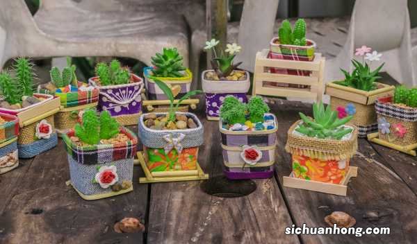 让花长得壮的3种“重口味”肥料，洒1勺，植物叶子肥大绿油油