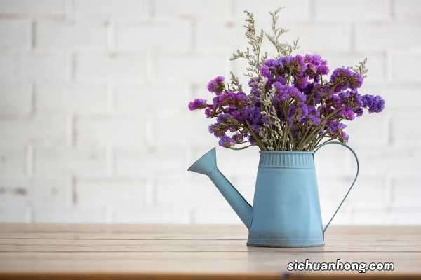 勿忘我花茶，怎么喝更健康？