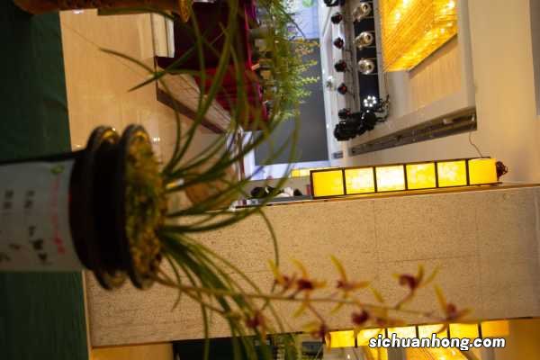 花中君子——兰花