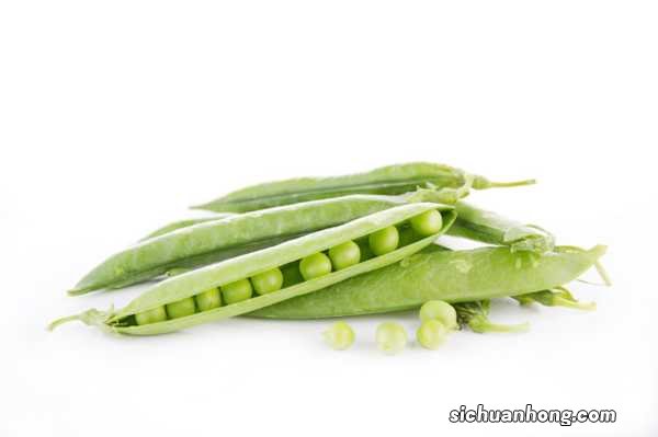 豌豆的种植方法和时间