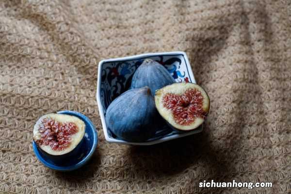 狗能吃无花果吗