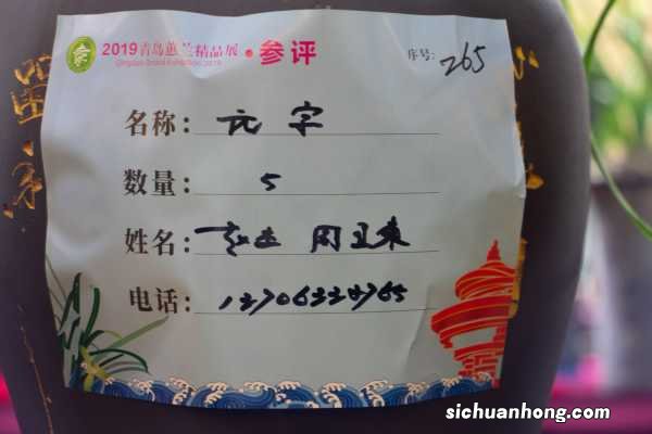 兰花什么季节施肥最好