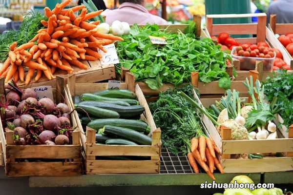 天冷就吃这种“野菜”,种子撒一把,30天长成一盆