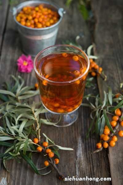 此“果子”,冬天养一盆,果子结满枝,整个冬天不愁吃!