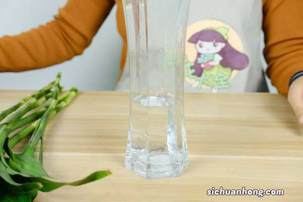 富贵竹几天换一次水