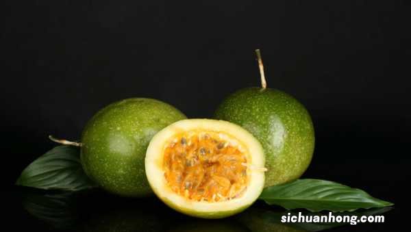 百香果扦插时间