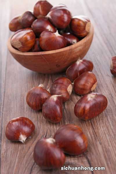 板栗树苗最佳种植时间