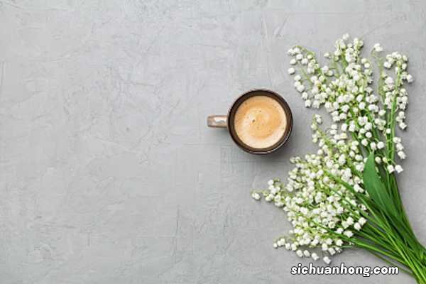 铃兰的养殖方法