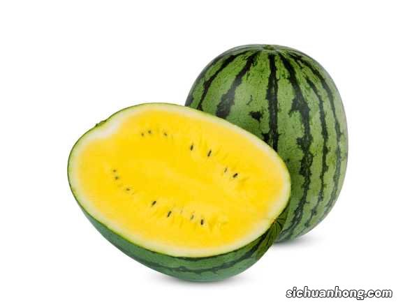 西瓜皮椒草怎么养长得好