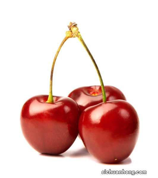 怎么辨别樱桃