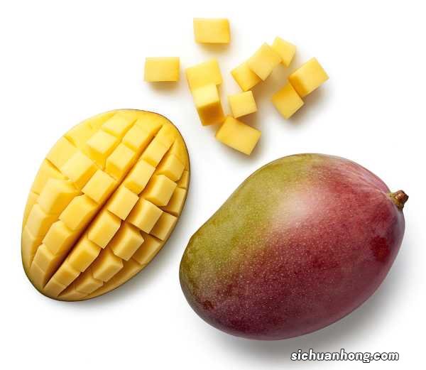 芒果盆景怎么养