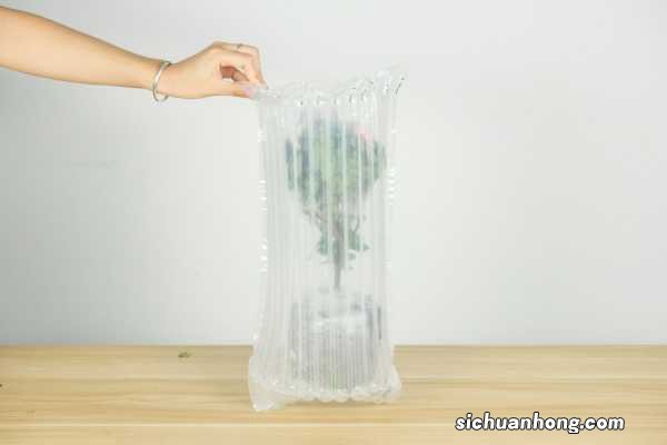 你家的杜鹃买一盆死一盆,人家的却旺得开花,咋养的?