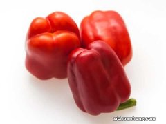 辣椒怎么种，需要什么土壤