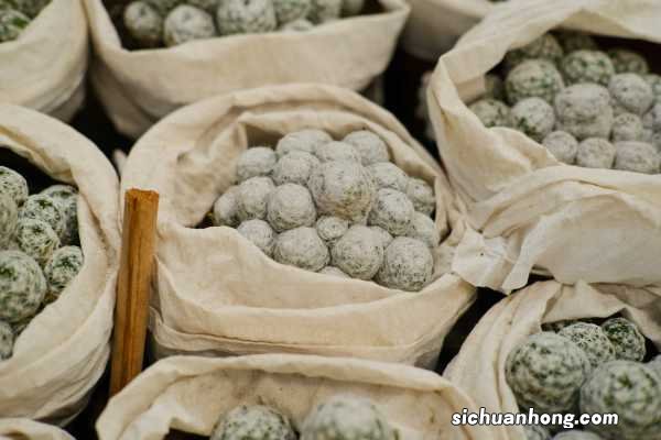 1个仙人球开40朵花,这些品种,你见都没见过!