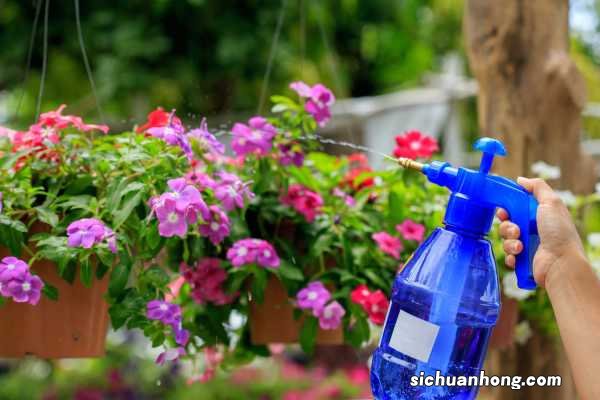 这“3种”水，别用来浇花，浇一盆枯一盆，肠子悔青