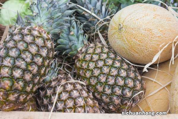 奶奶用1个吃剩的菠萝头,竟种出了3个大菠萝,邻居都羡慕死了