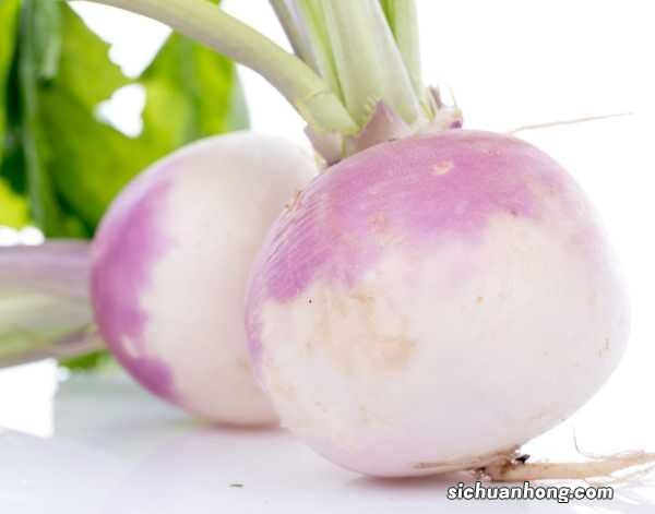 种萝卜的方法和步骤