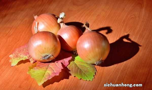 快过年别人买花，他买“洋葱头”，笑话他的人，最后都羡慕死