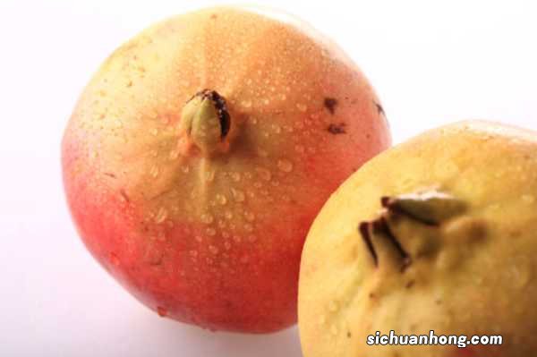 吃剩下的“石榴籽”可别扔，用水洗一洗，7天长出小盆栽！