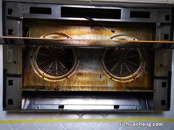 油烟机的“废油”可别扔,用它当花肥,花呼呼长不停