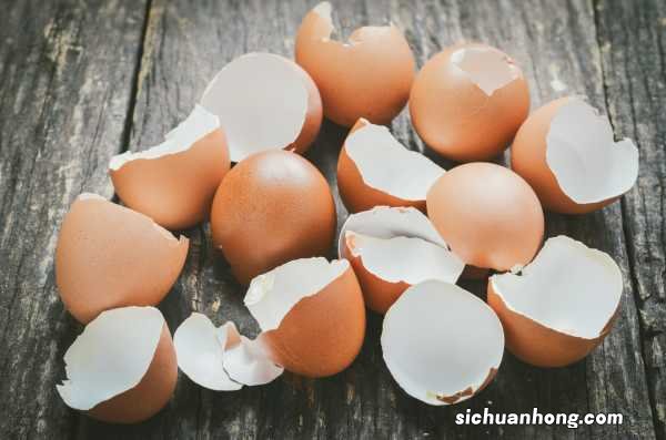 用“鸡蛋壳”施肥更好?花盆里扔一点,花开得呼呼的!