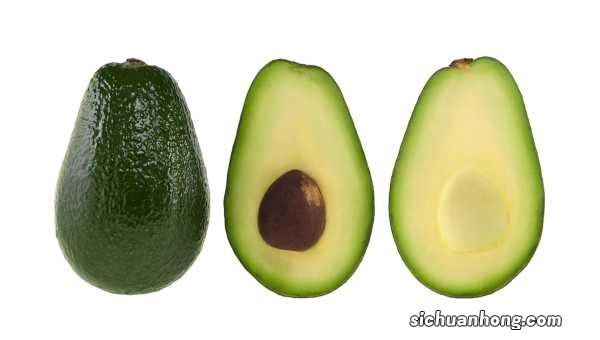 牛油果核怎么种盆栽