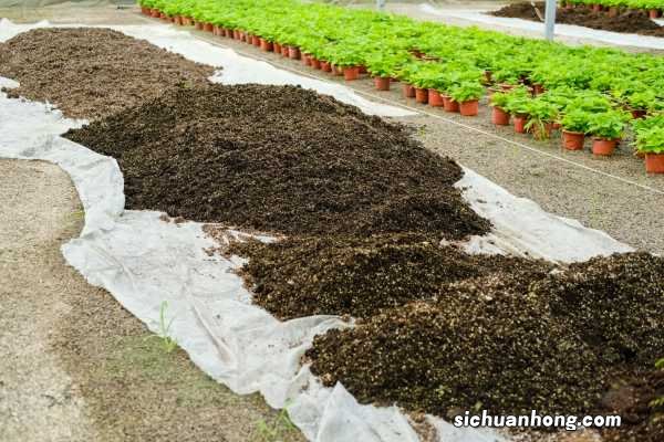 盆花不开花?土壤肥料很重要!