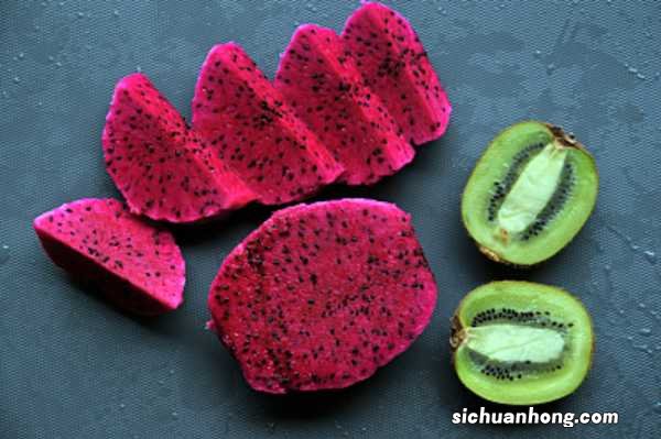 火龙果苗怎么种