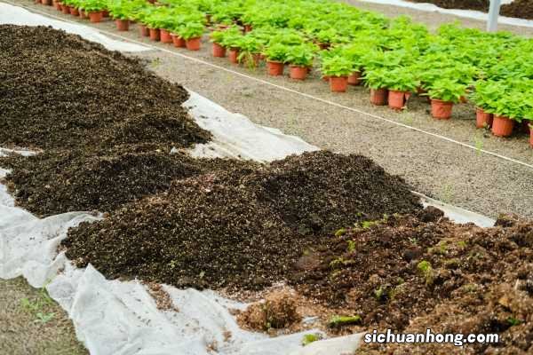 家庭养花土壤消毒的方法