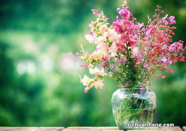 鲜切花养护视频:鲜切花的养护方法