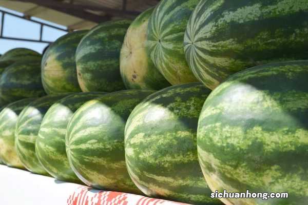 西瓜皮居然有这么多神奇功效,帮你剩下大笔买药钱