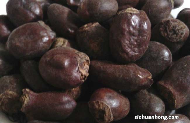 荔枝核的功效与作用