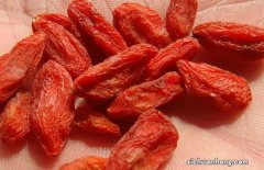枸杞的禁忌和副作用 枸杞子有什么副作用？